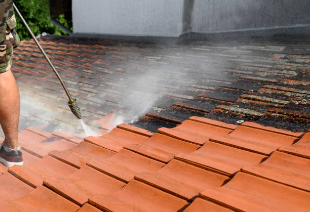 Best Commercial Building Pressure Washing  in St Matthews, SC