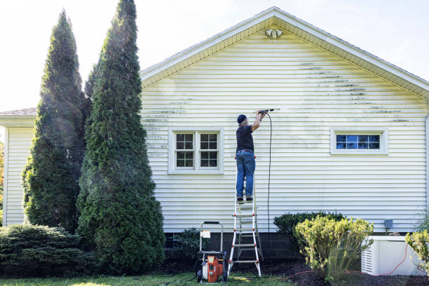 Best Exterior Home Cleaning  in St Matthews, SC